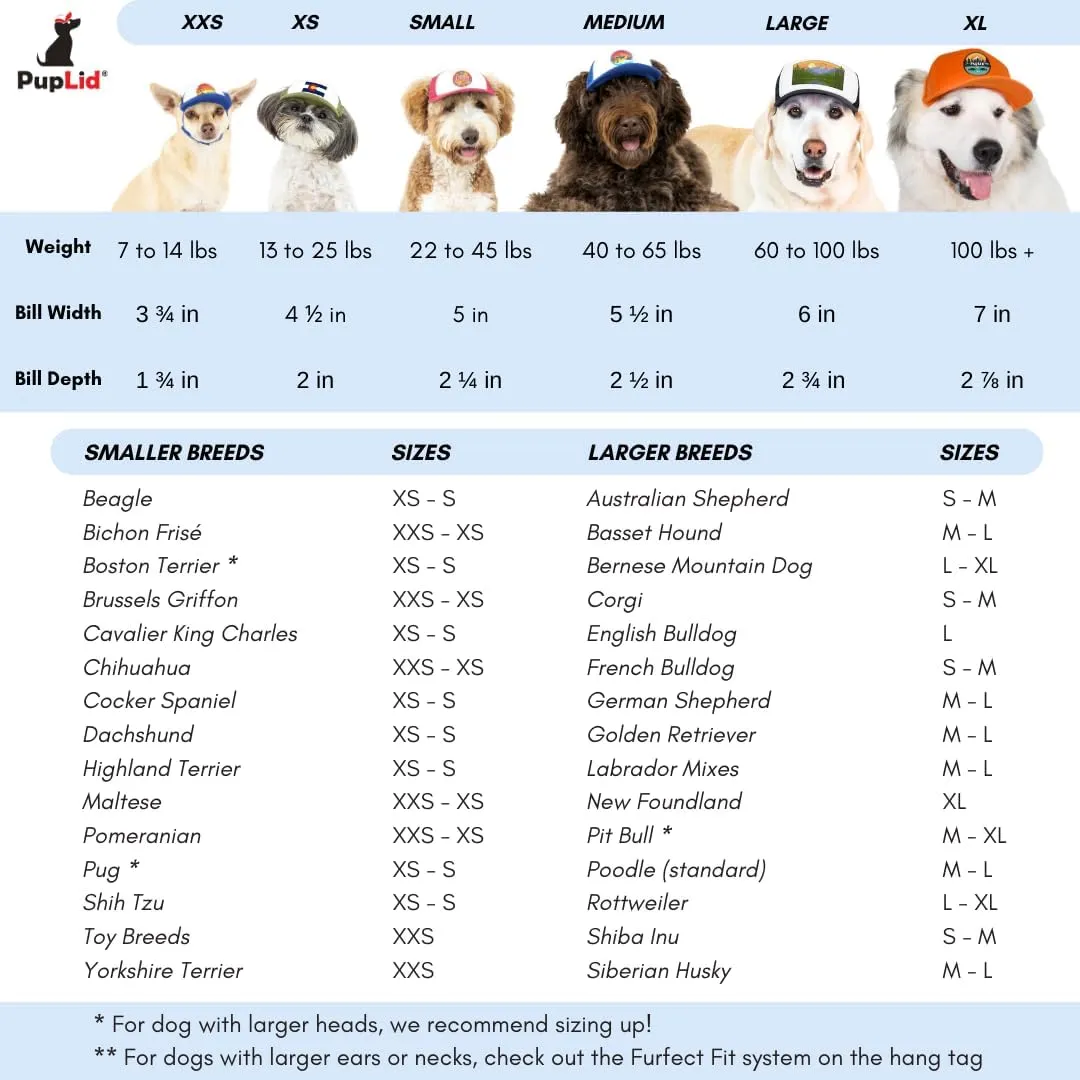 Sunset Collection, PupLid Trucker Hats for Dogs (XXS) Premium Stylish Sun Protection for The Modern Dog - Adjustable for Secure Comfortable Fit on Active Dogs (Black, All-Terrain)