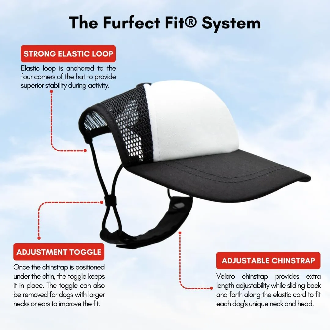 Sunset Collection, PupLid Trucker Hats for Dogs (XXS) Premium Stylish Sun Protection for The Modern Dog - Adjustable for Secure Comfortable Fit on Active Dogs (Black, All-Terrain)