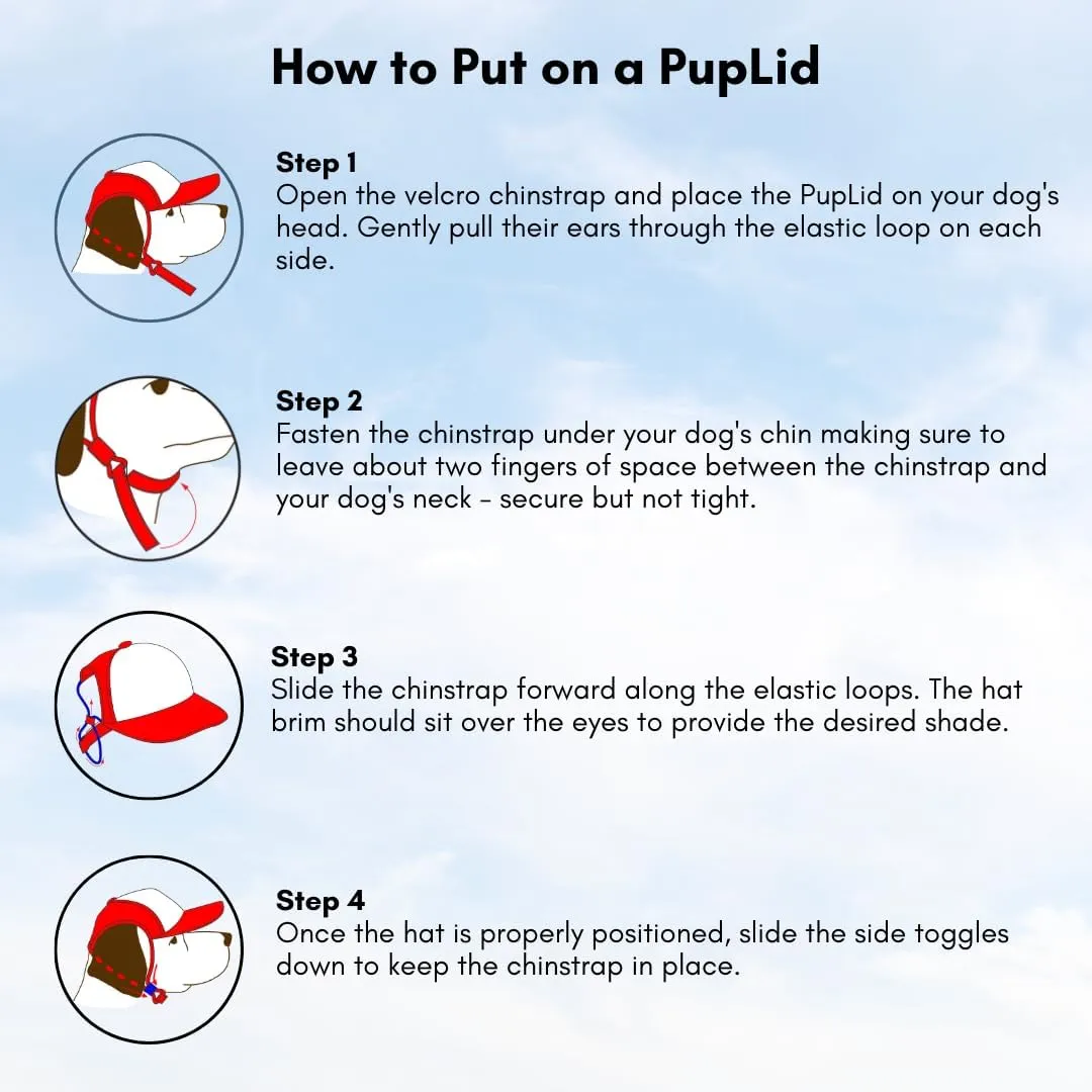 Sunset Collection, PupLid Trucker Hats for Dogs (XXS) Premium Stylish Sun Protection for The Modern Dog - Adjustable for Secure Comfortable Fit on Active Dogs (Black, All-Terrain)